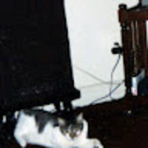 Meet your Posher, Sal